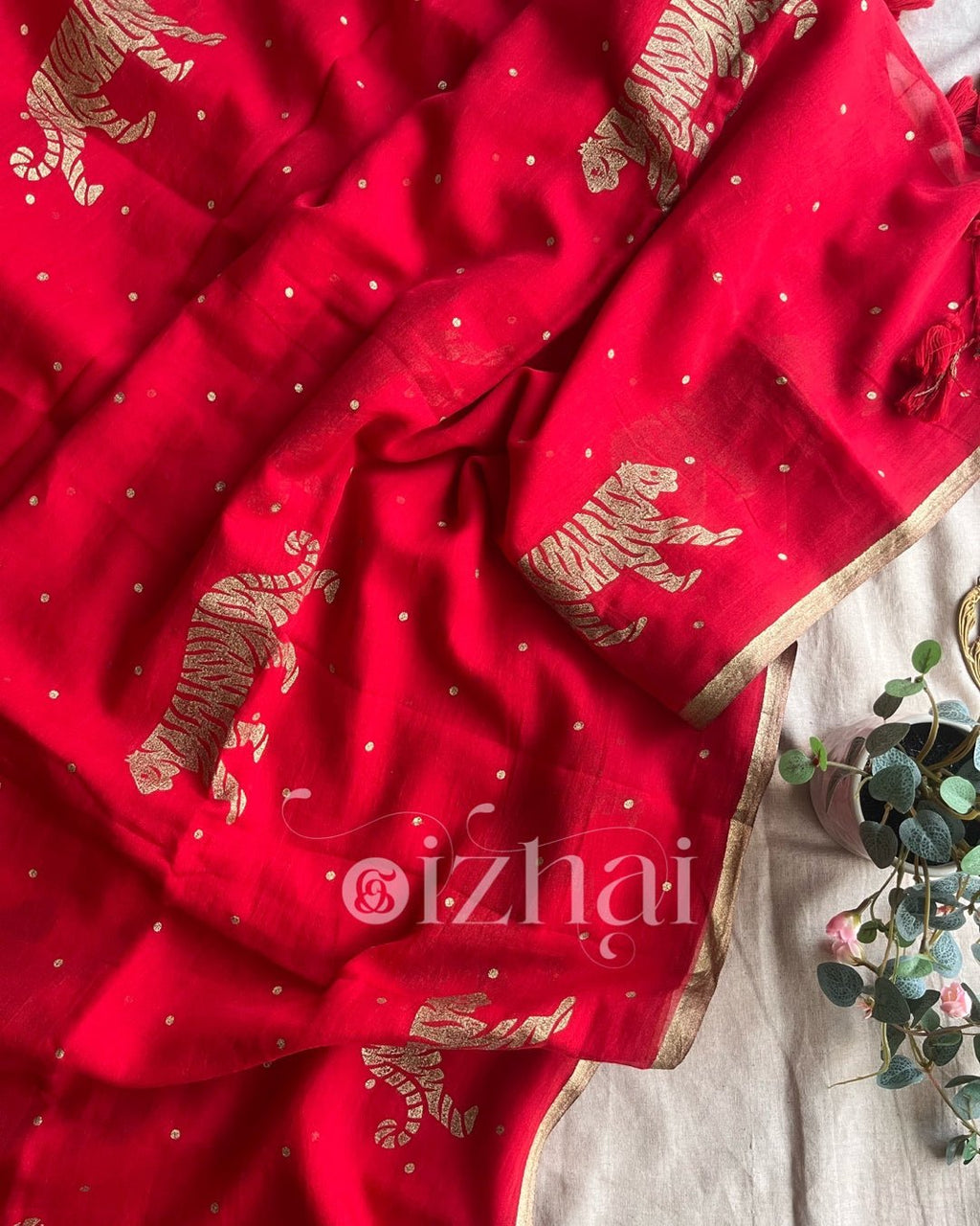 Daily || Padmavati - Izhai