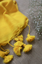 Daily | - Yellow - Izhai