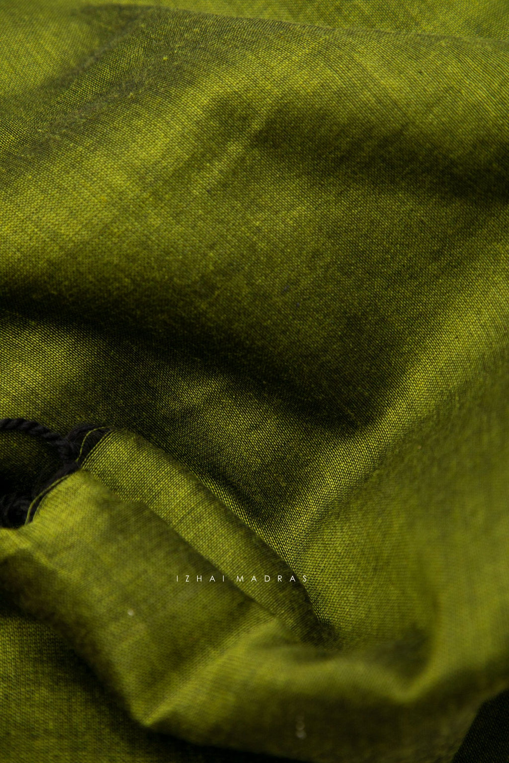 Daily | - Sap Green