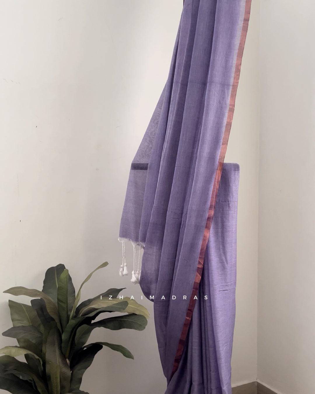 Daily - Lilac Love