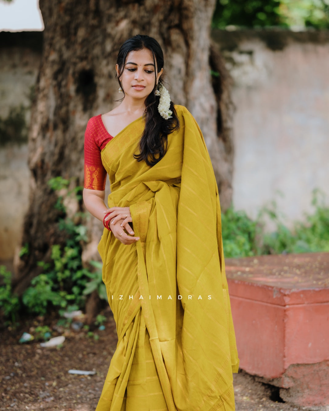 Kanchi - Velthari Mustard