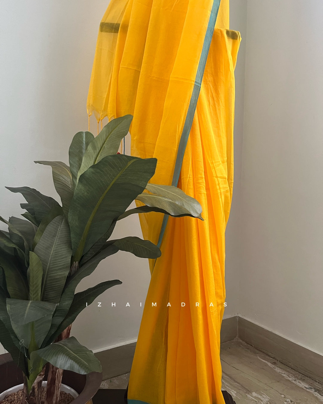 Daily - Marigold