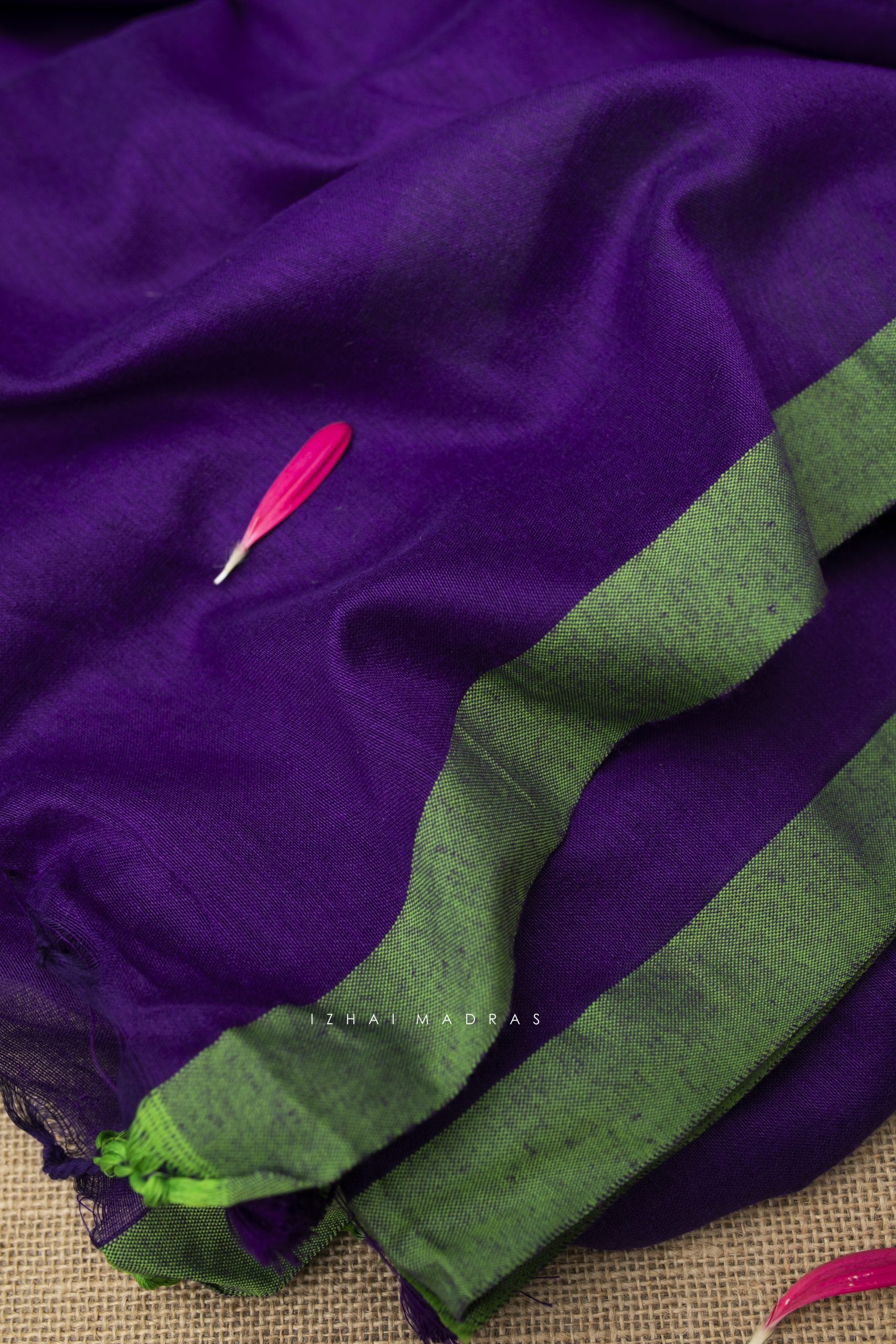 The Daily - Purple